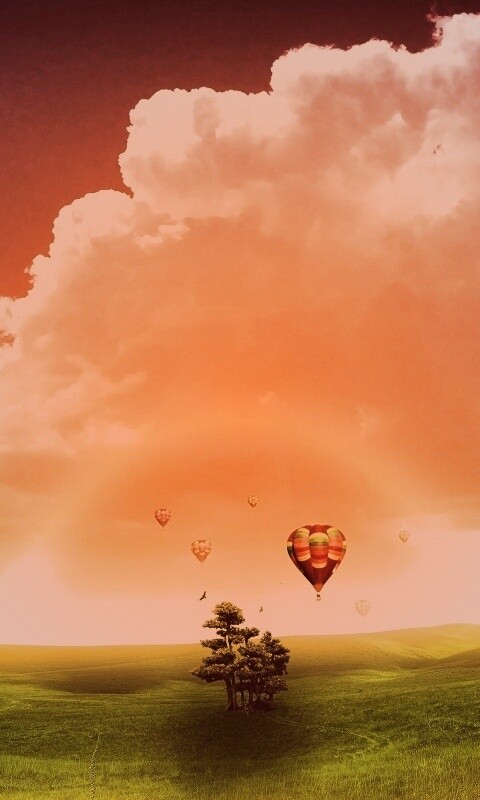 Мечты о полёте обои