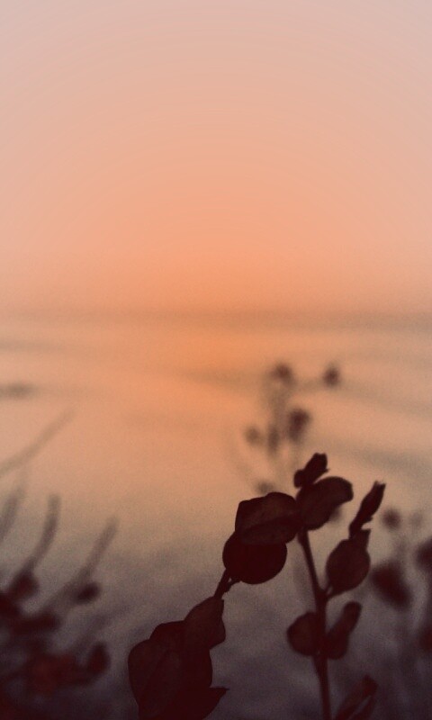 Расплывчатый берег обои