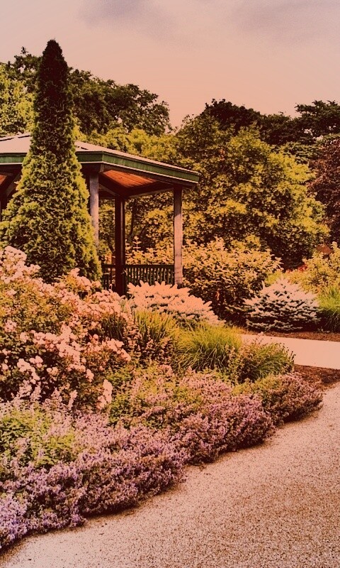 Ландшафтный дизайн обои