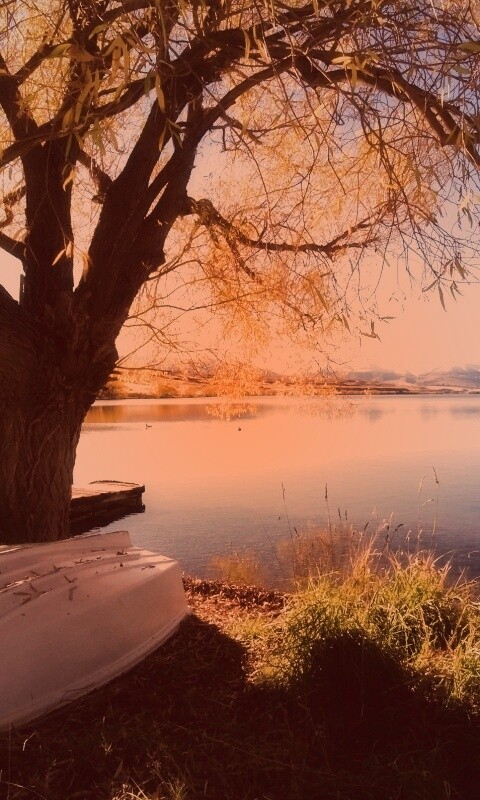 Осеннее озеро обои