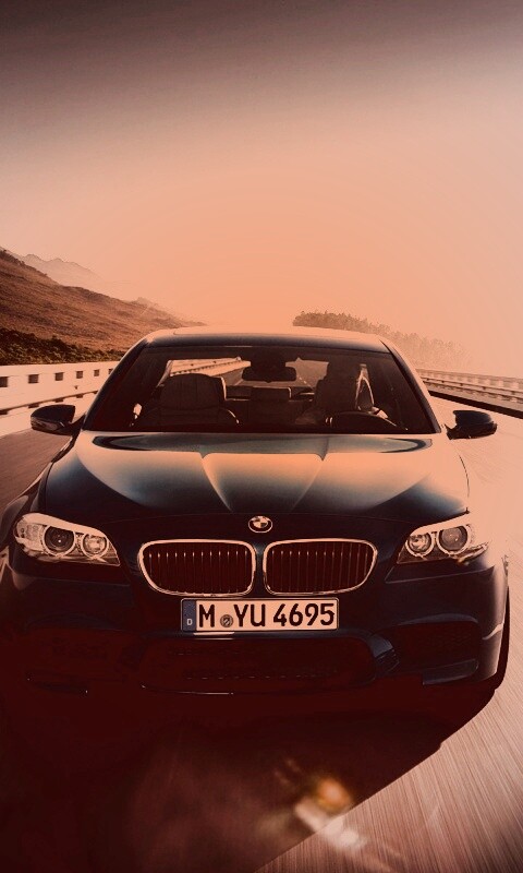Синий БМВ на дороге обои