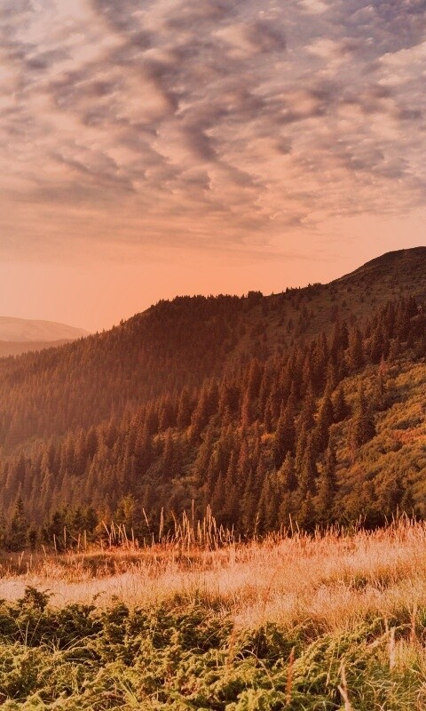 Предгорье обои