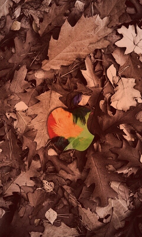 Яблоко в листьях обои