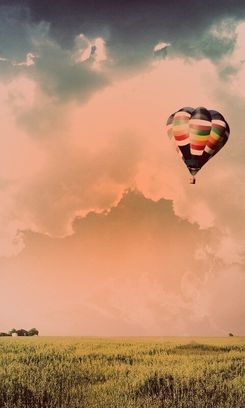 Воздушный шар над зеленым лугом обои