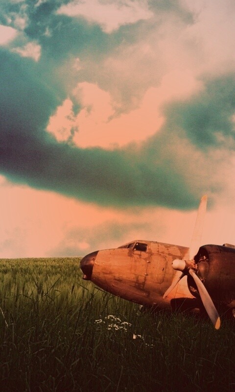 Старый ржавый самолет на лугу обои