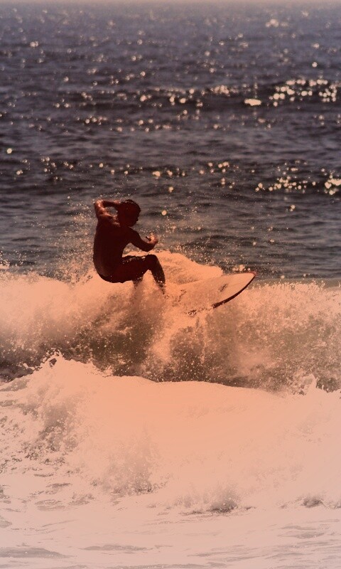 Сёрфенгист поймал волну обои