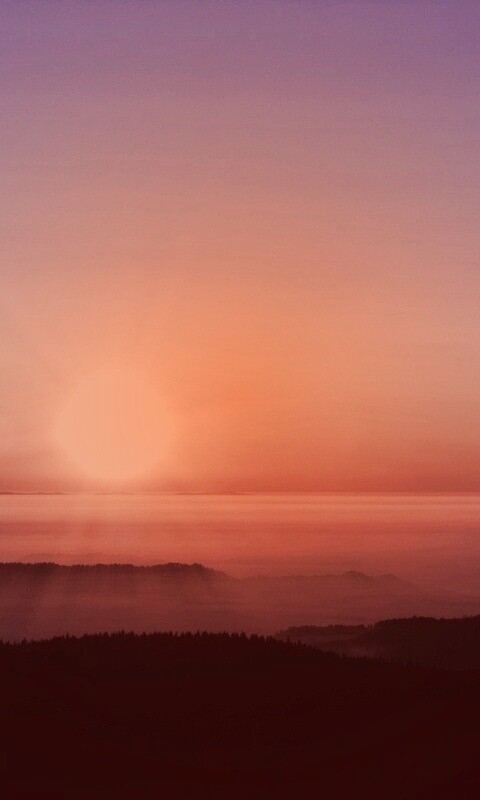 Восход солнца над лесом обои