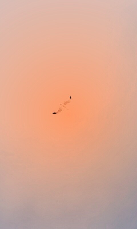 Полет  обои