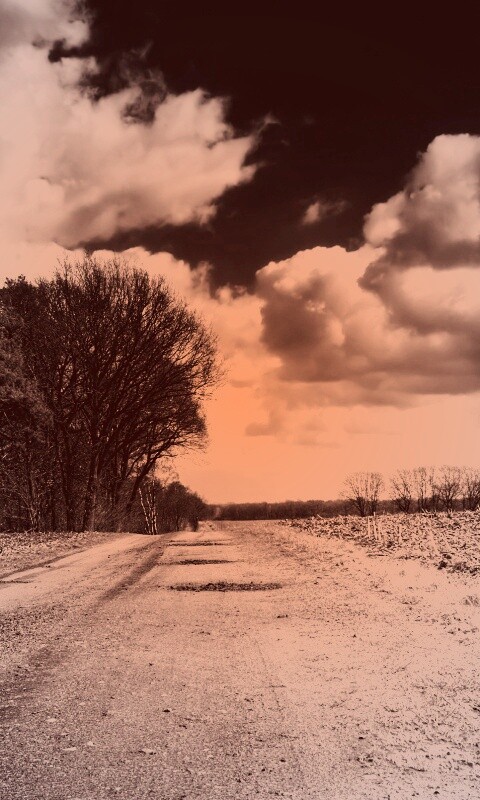 Дорога через поле обои