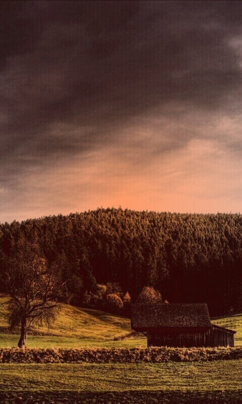 Домик в поле обои