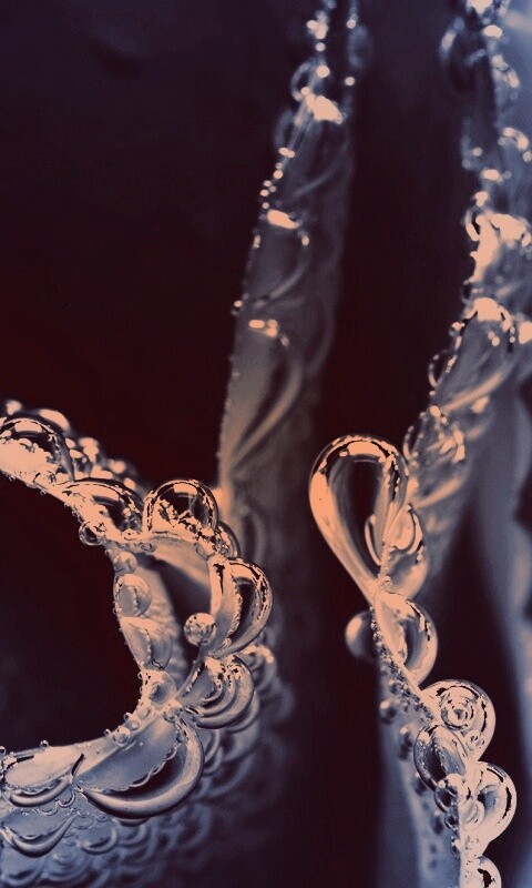 Капельки росы на синих лепестках обои