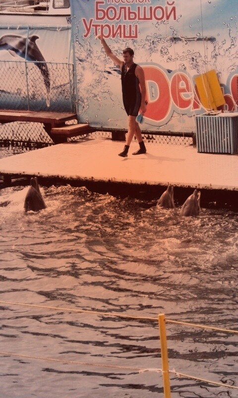 Утро в дельфинарии обои