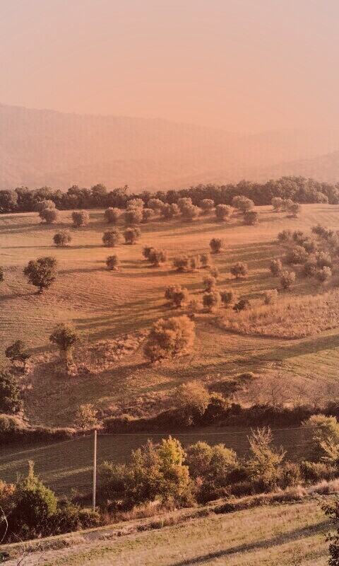 Ферма в долине обои