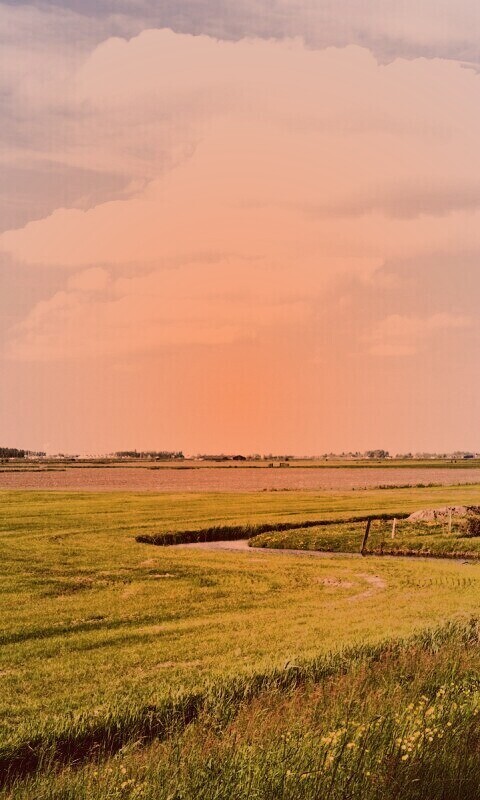 дом на лугу обои