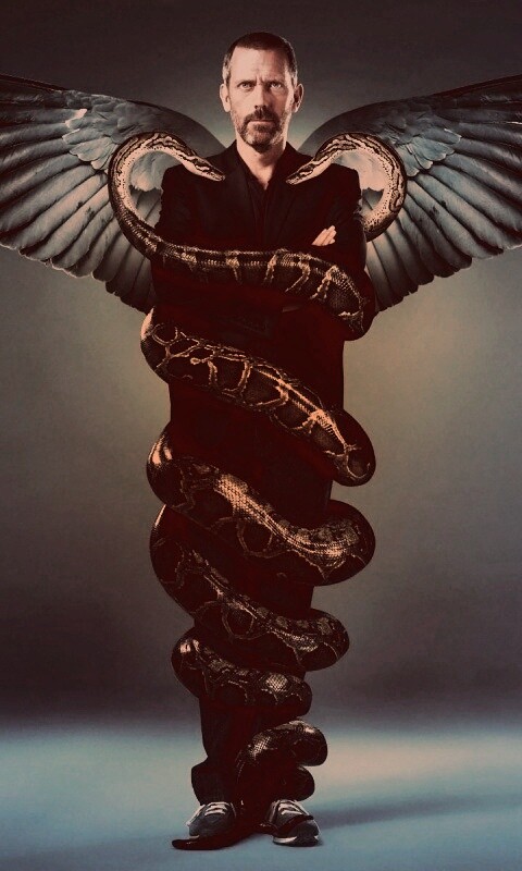 Заставка шестого сезона HOUSE M.D. обои