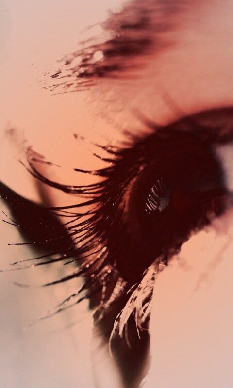 Взгляд обои