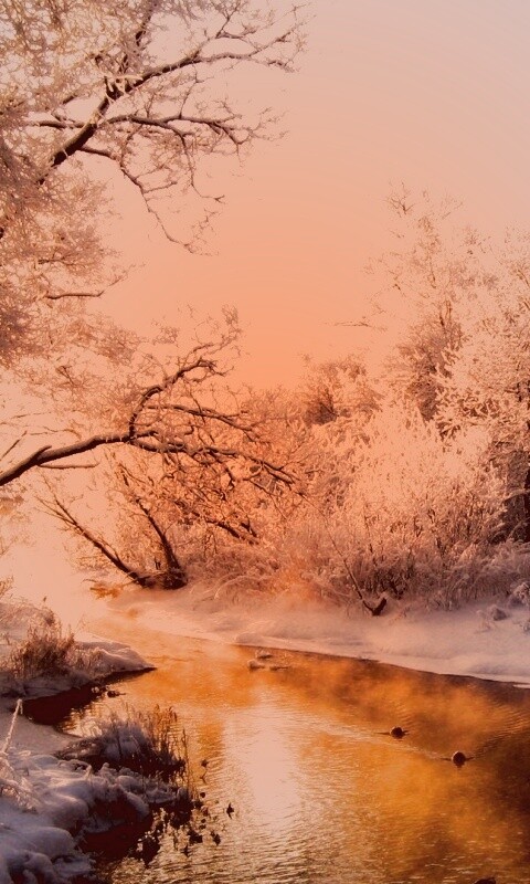 Зимняя река обои