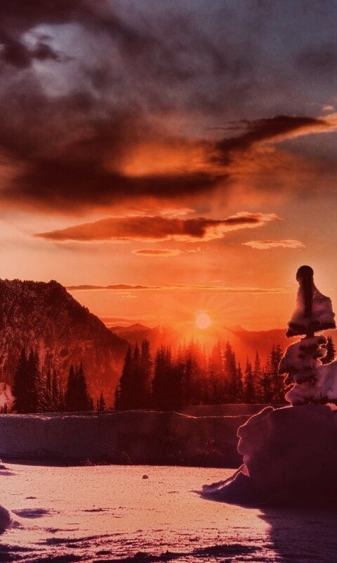 Зимнее солнце обои