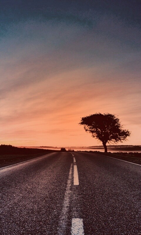 Дорога обои