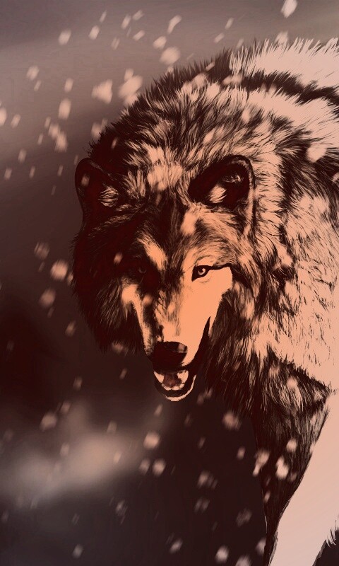 Охота на волка обои