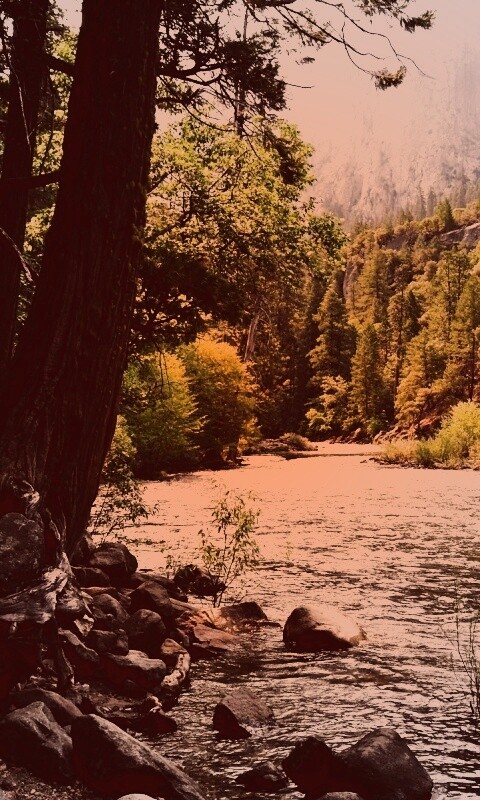 Национальный заповедник обои