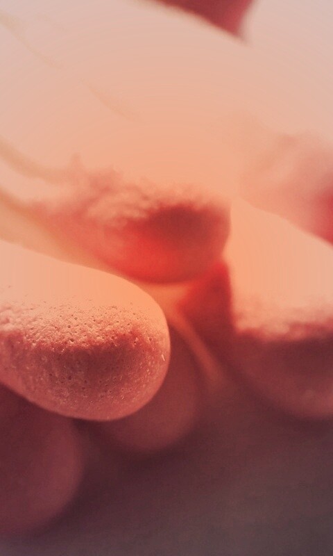 Спички в макро съемке обои