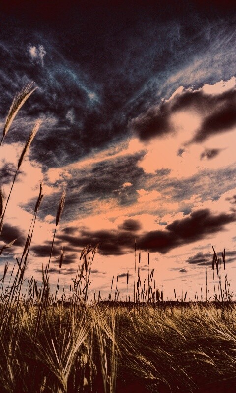 HDR Поле обои