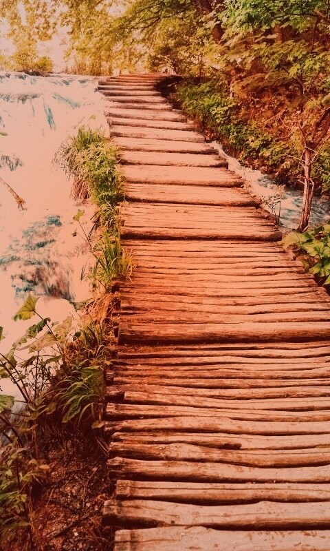 Деревянная дорожка над ручьем обои