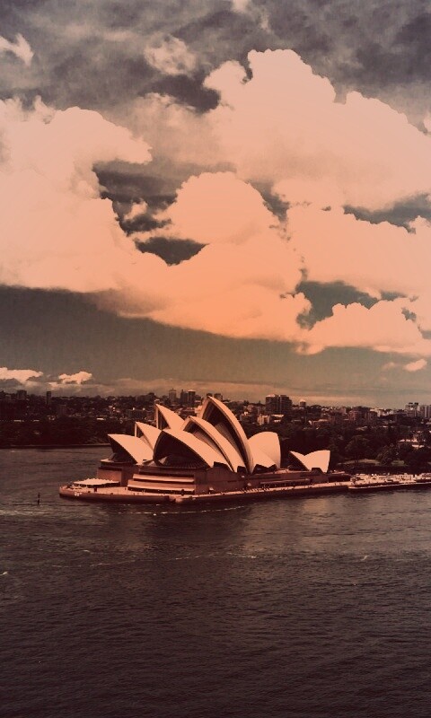 Сидней обои