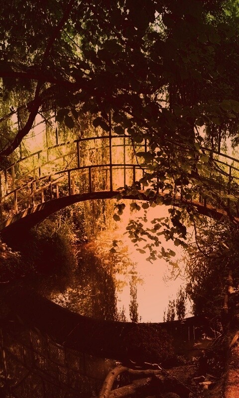 Живописный мостик обои