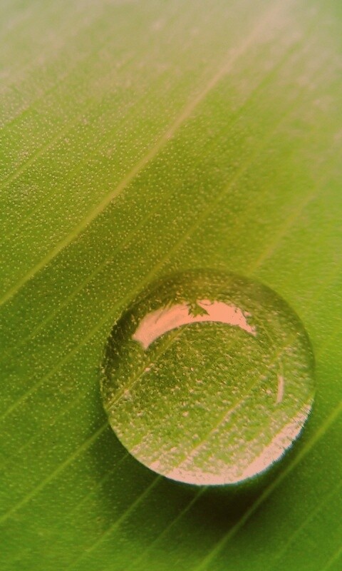 Одна капля обои