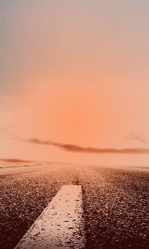 Дорога обои