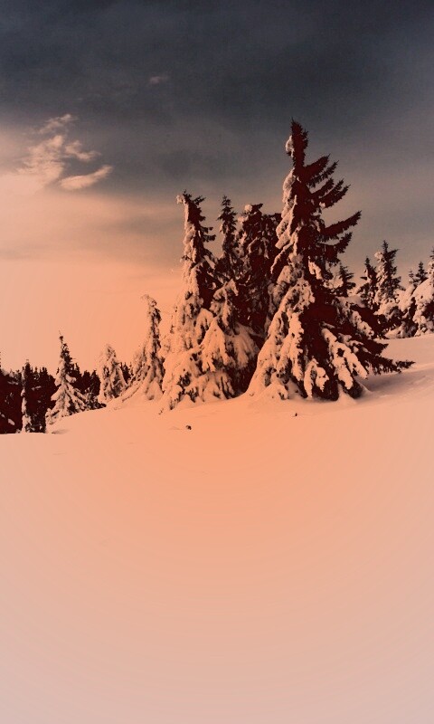 Зимние просторы обои