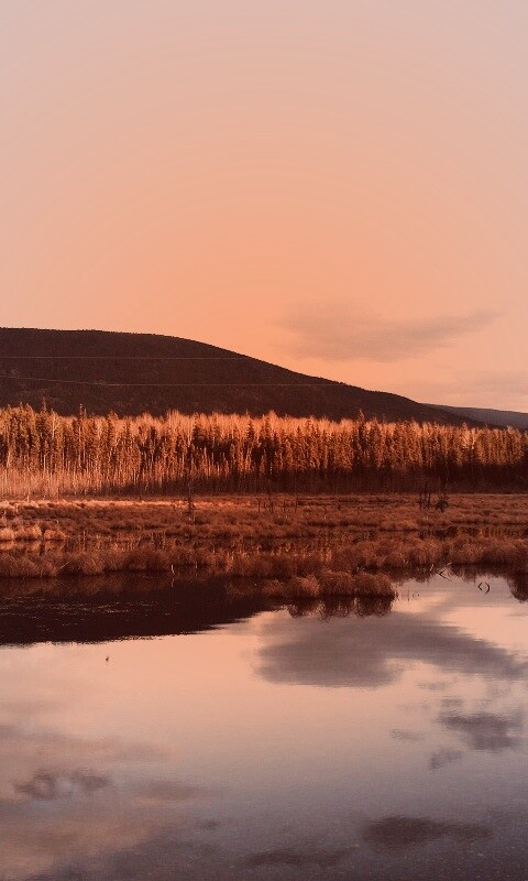 Осеннее озеро обои