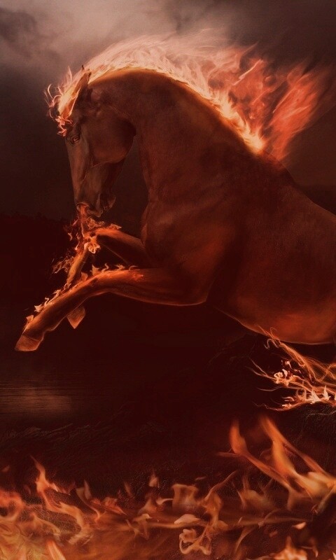 Огненный скакун обои