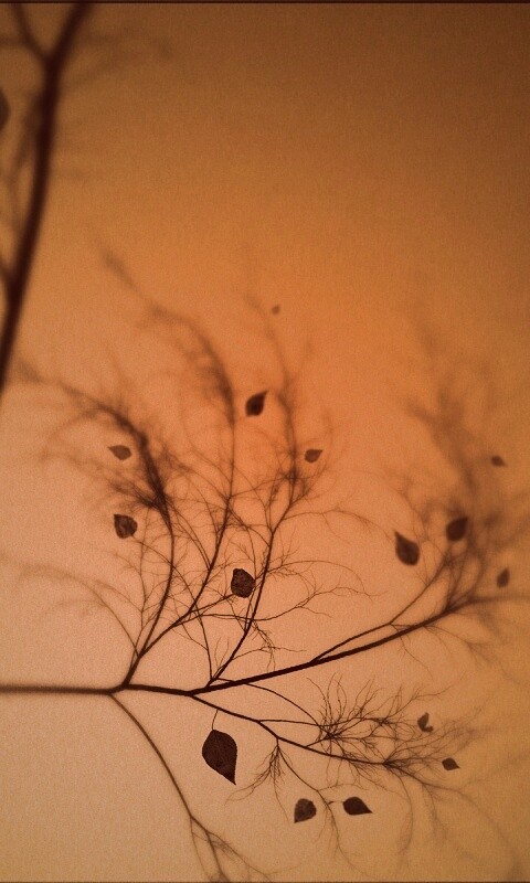 Это осень обои