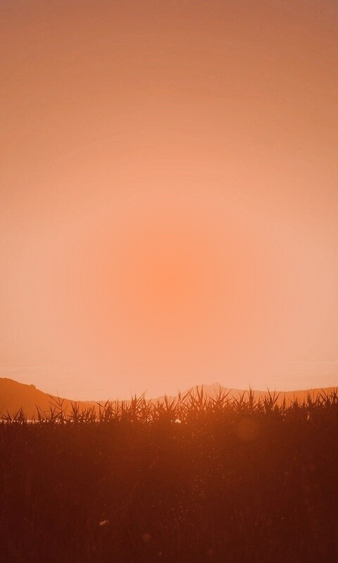 Сельский закат обои