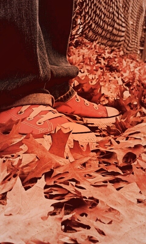 Оранжевые кеды обои