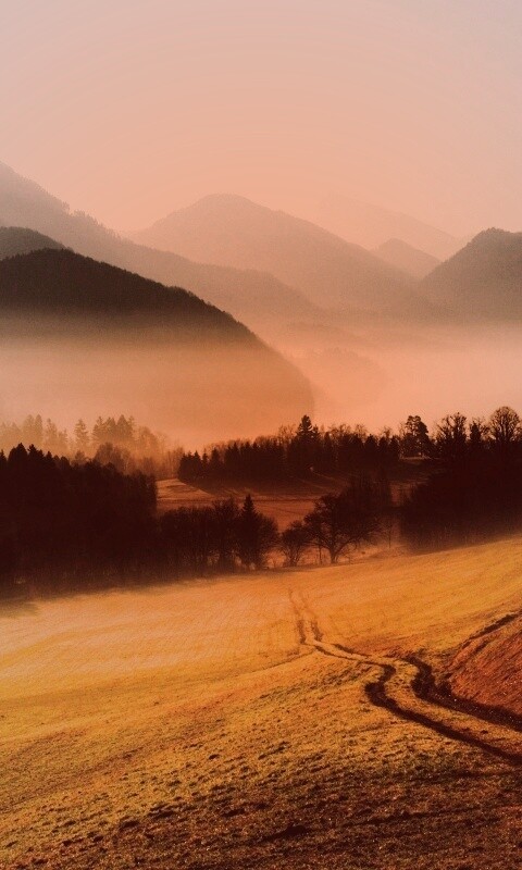 Дорога в туманную долину обои