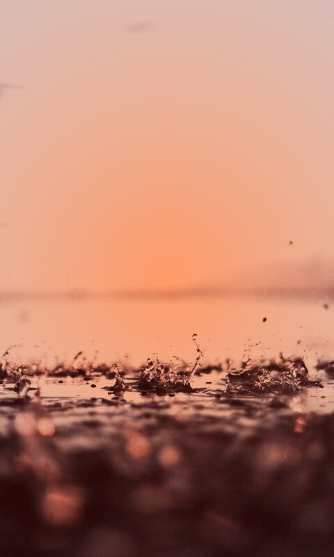 Дождь в макро обои