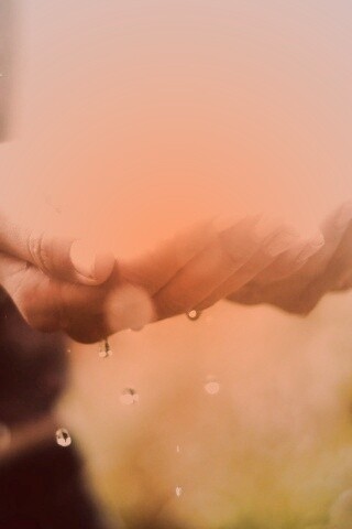 Дождь в ладонях обои