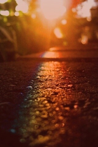 Макро радуга на камне обои