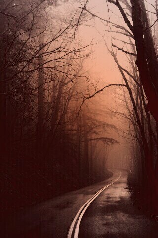 В туман обои