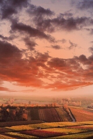 Обработанные земли в пригороде обои