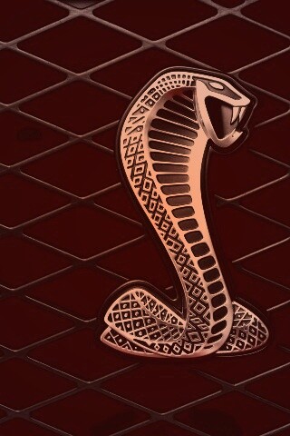 Логотипа Форда Шелби обои