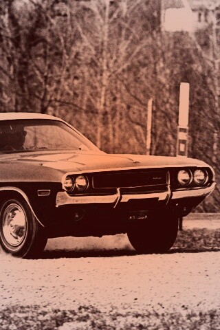 Черно-белое фото Dodge обои