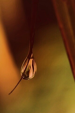 Стекающая капля обои