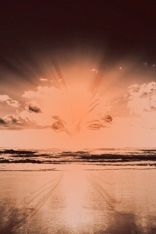 Абстрактные перья на фоне заката обои