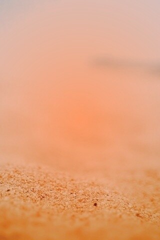 Желтый песок обои