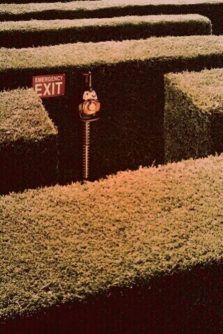 Аварийный выход из лабиринта, газонокосилки обои